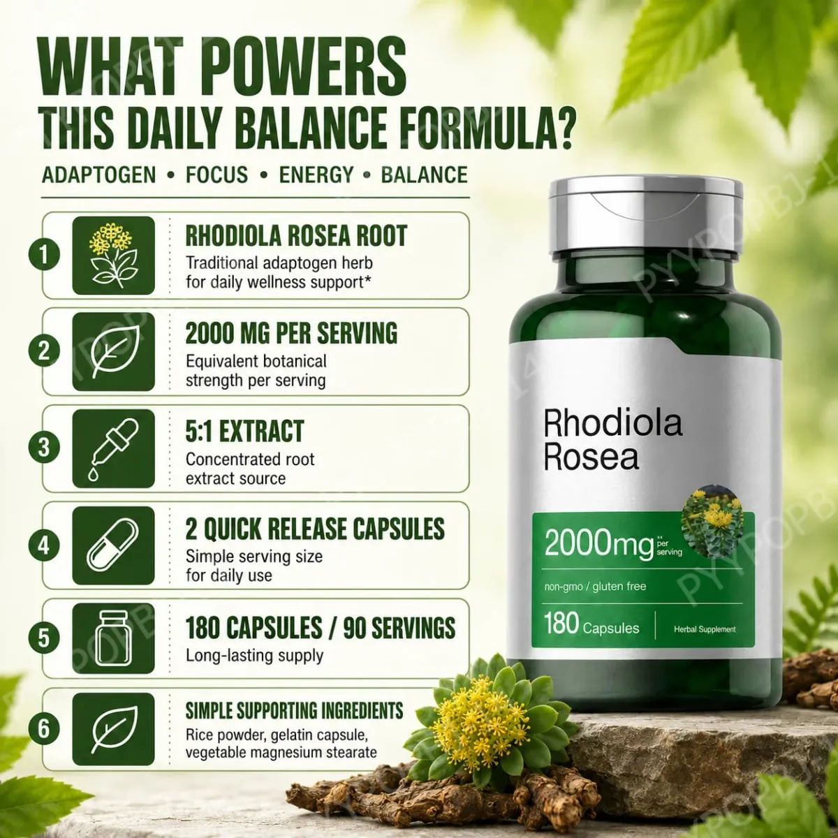 Rhodiola Rosea Root Extract 2000mg Equivalent Herbal Dietary Supplement 180 Capsules