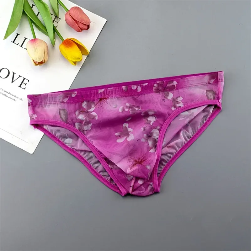 Sous-vêtements transparents de grande taille, slips Sexy pour hommes avec pochette en Nylon, slips respirants, culottes masculines XL-4XL