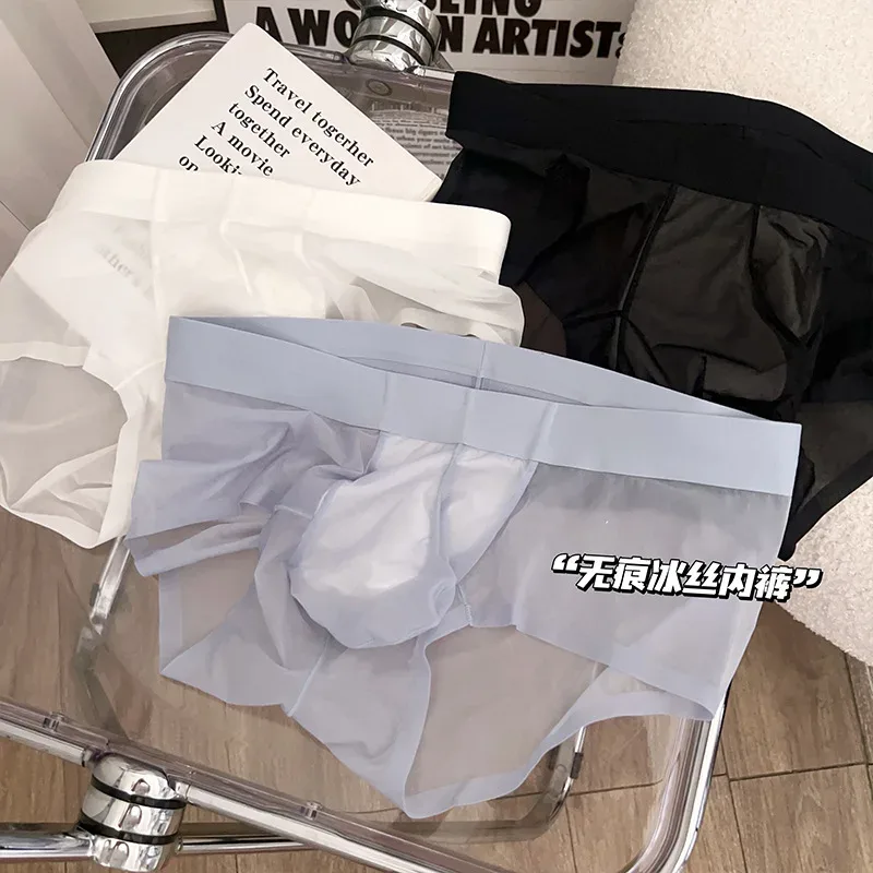 Slips transparents pour hommes Ultra-mince en soie glacée culotte à séchage rapide Sexy U poche bombée sous-vêtements pour hommes caleçons respirants Cuecas