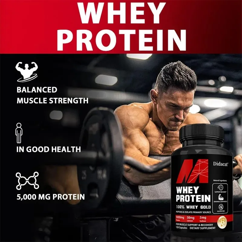 Didacat Whey Protein Concentrate with 5000mg Protein Gluten Free & Non-GMO Boost Immunity and Support Post-exercise Recovery — image 7