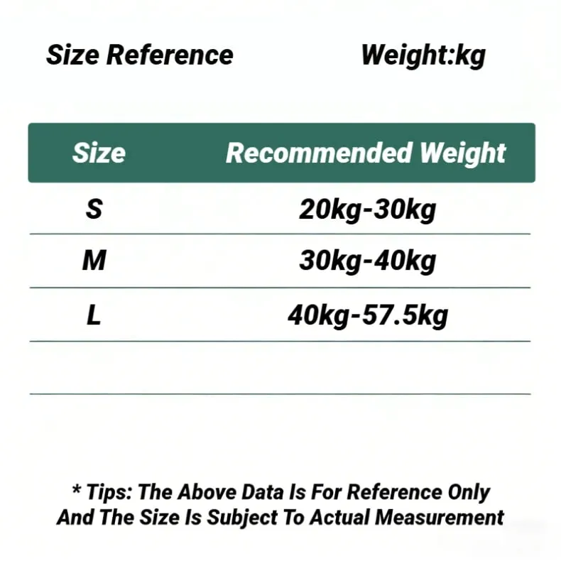 3Pcs Teenagers Comfortable Breathable Simple Training Bra Vest Soft Elastic Skin Friendly Lingerie For Girls No Steel Ring — image 8