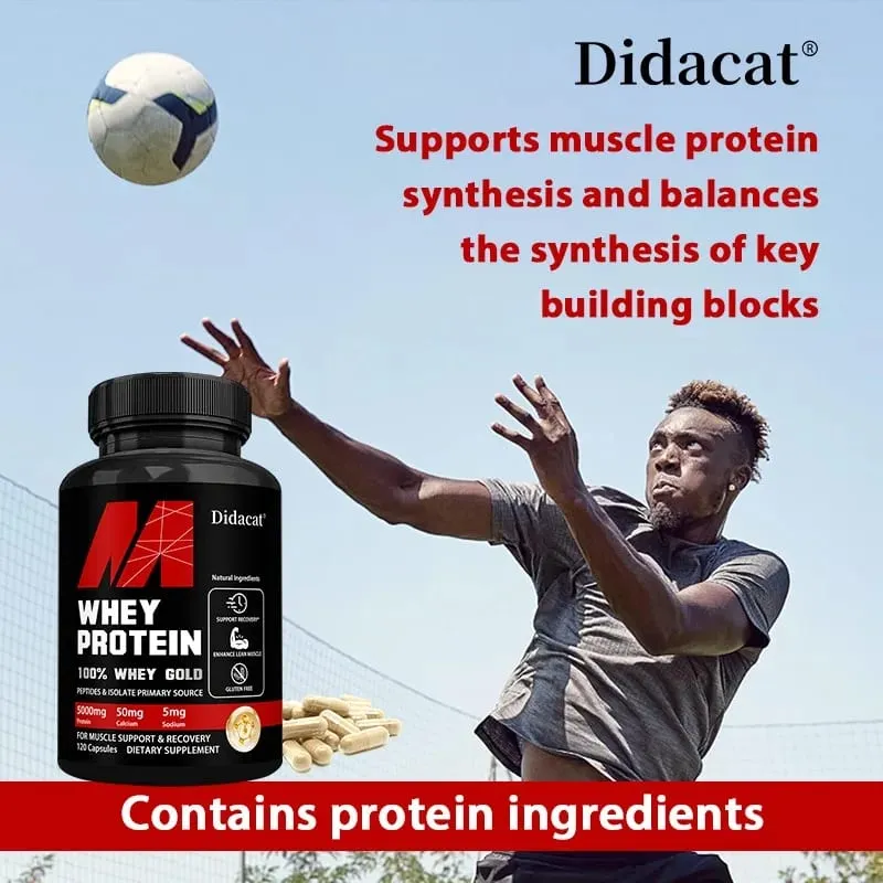 Didacat Whey Protein Concentrate with 5000mg Protein Gluten Free & Non-GMO Boost Immunity and Support Post-exercise Recovery — image 4