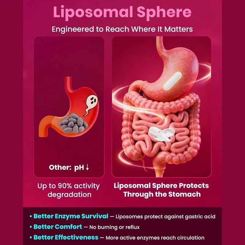 Nattokinase Supplement Supports Blood Flow Heart Health & Healthy Circulation Digestive Aid Boosts Cellular Energy