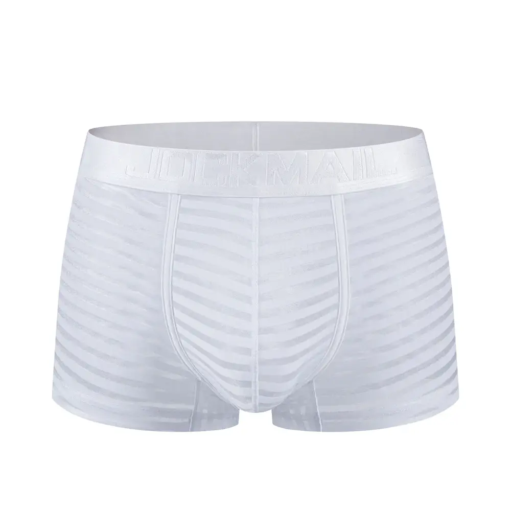 Sexy Men Underwear Boxer Shorts Transparent Mesh Underpants Trunks Men Panties Low Waist Nylon Breathable Quick Drying