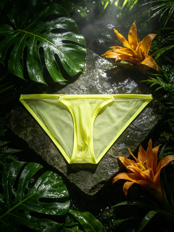 Trendy Mens Mesh Briefs Solid Color Elastic Fabric Thin Edge Low Rise 3D Pouch Design Light Sheer Home Close Fitting Underwear