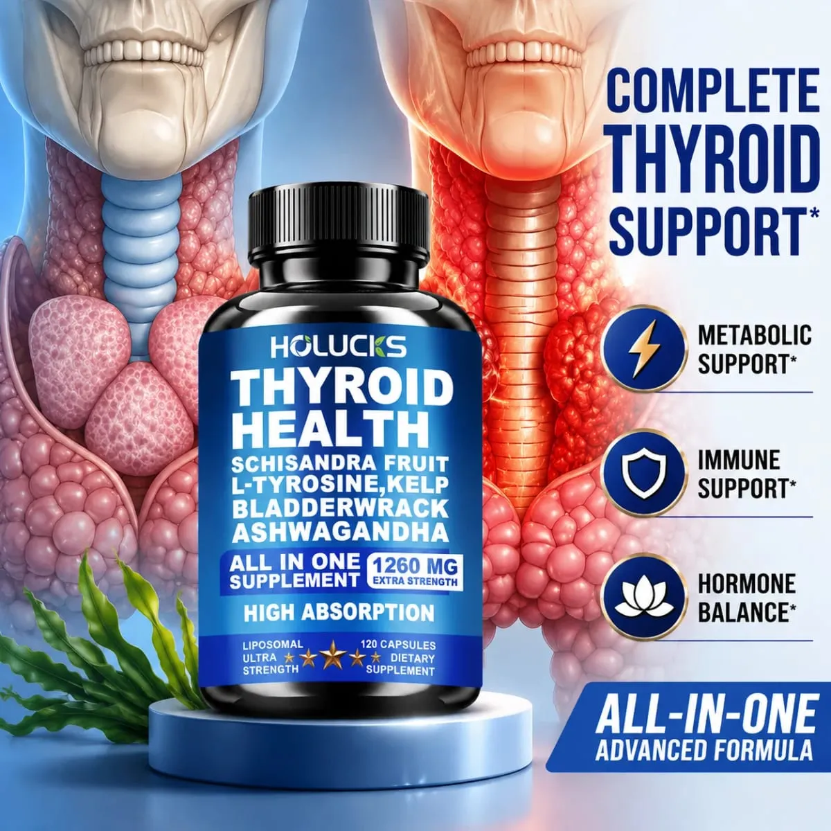 Advanced Thyroid Wellness Capsules with Schisandra Ashwagandha Kelp Improve Metabolism Focus & Whole-body Vitality Immune