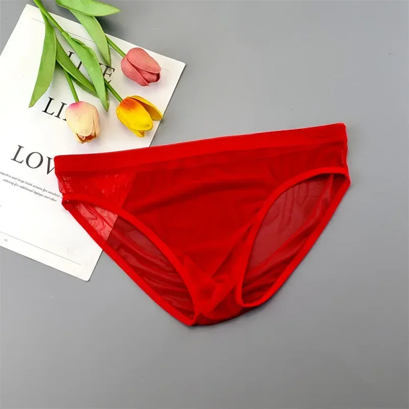 Sous-vêtements transparents de grande taille, slips Sexy pour hommes avec pochette en Nylon, slips respirants, culottes masculines XL-4XL