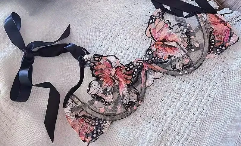 Butterfly Embroidery French Lace Bra Sheer Net Elastic Straps No Padding Romantic Womens Lingerie Set S-XL Soft Comfy — image 8