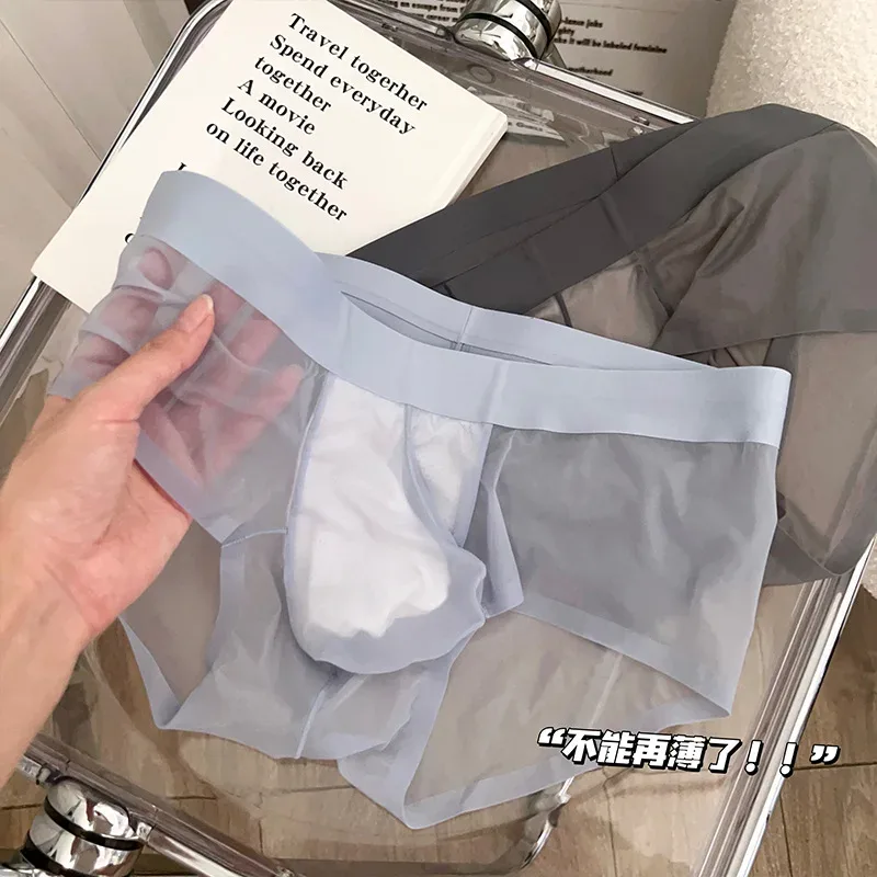 Slips transparents pour hommes Ultra-mince en soie glacée culotte à séchage rapide Sexy U poche bombée sous-vêtements pour hommes caleçons respirants Cuecas