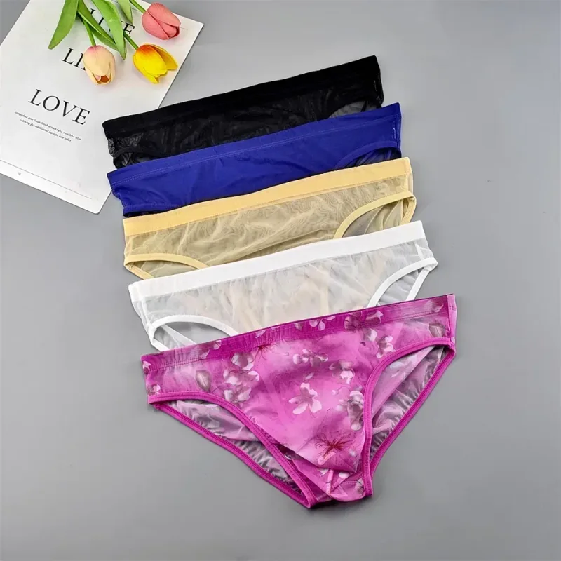 Sous-vêtements transparents de grande taille, slips Sexy pour hommes avec pochette en Nylon, slips respirants, culottes masculines XL-4XL