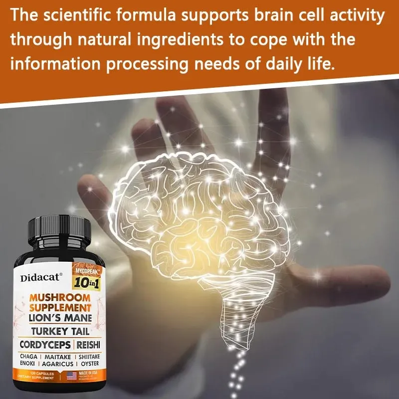 Didacat 10x Capsule Complesse di Funghi con Criniera di Leone Chaga Integratore Nootropico per il Cervello per la Memoria e l'Immunità — image 4