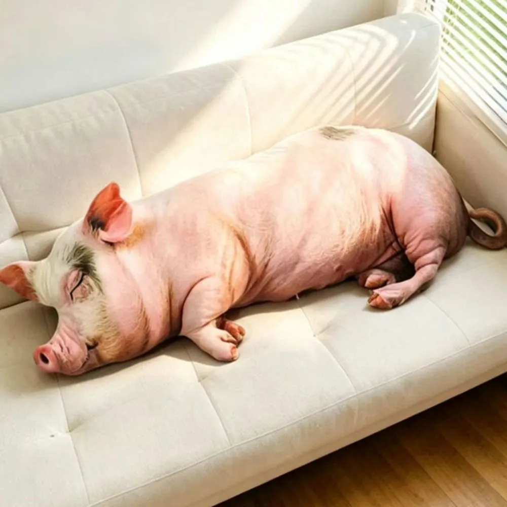 Plush Material Animal Body Pillow 40cm Size Soft Texture Animal Cushion Doll Toys Cute Design PP Cotton Filled Pig Keychain — image 4