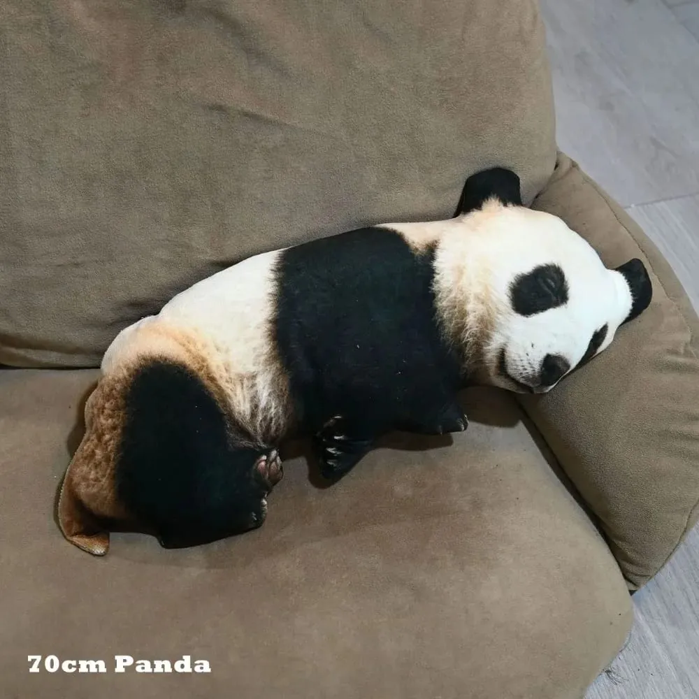 Plush Material Animal Body Pillow PP Cotton Filled 40cm Size Poultry Throw Pillows Soft Texture Cute Design