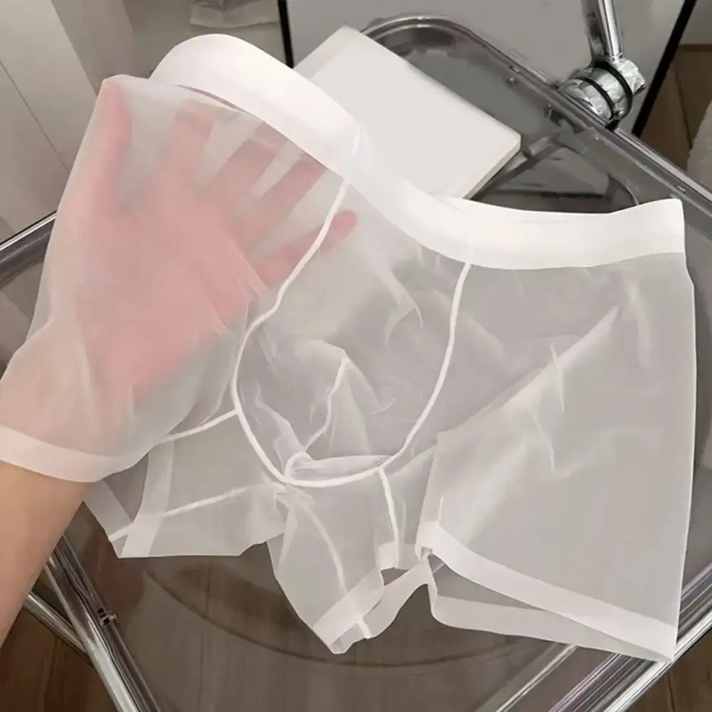 Boxer Transparent léger pour hommes, sous-vêtements élastiques, taille moyenne, convexe en U, short à Perspective fine, culotte sans couture