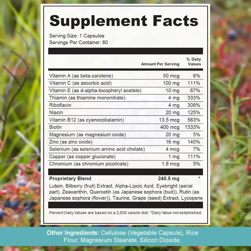 Vision Support Supplement – with Lutein Zeaxanthin Quercetin Vitamin A Zinc & Bilberry – Supports Visual Clarity Focus 60 Capsules