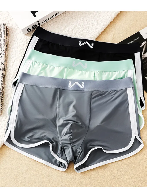 Caleçons en soie glacée pour hommes, 3 pièces/paquet, maille antibactérienne respirante, culotte à grande poche, taille haute élastique, Boxer pour hommes