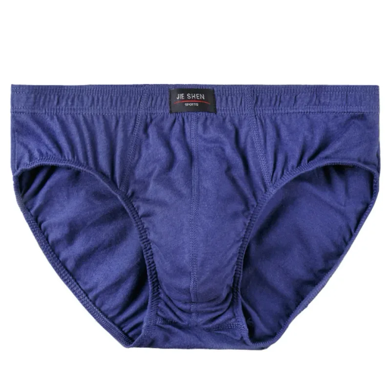 100% Cotton Briefs Mens Comfortable Underpants Man Underwear L/XL/2XL/3XL/4XL5pcs/Set Free Drop Shipping — image 15