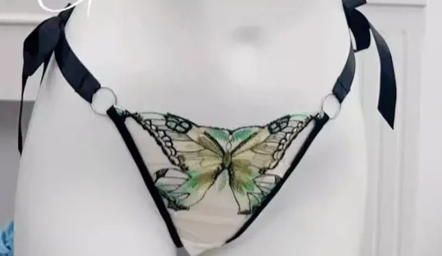 Butterfly Embroidery French Lace Bra Sheer Net Elastic Straps No Padding Romantic Womens Lingerie Set S-XL Soft Comfy — image 15