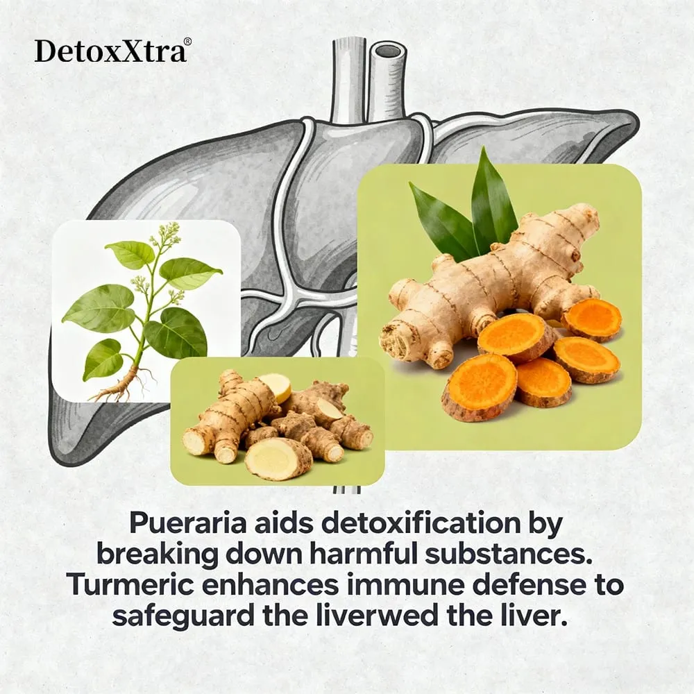 Milk Thistle Liver Cleanse Detox Health Supplement Supports Healthy Liver Function Men & Women Boosts Immunity Antioxidant