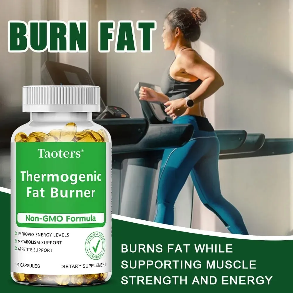 Green Tea Extract - with Apple Cider Vinegar Burning & Inhibiting Fat Control Appetite Gut Health Weight Management