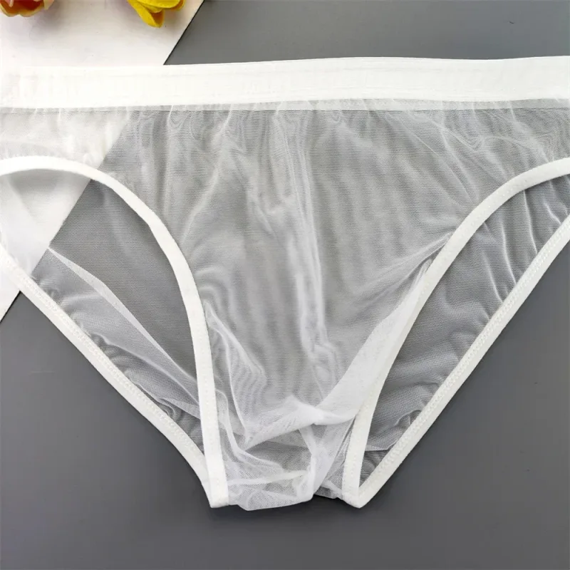 Sous-vêtements transparents de grande taille, slips Sexy pour hommes avec pochette en Nylon, slips respirants, culottes masculines XL-4XL