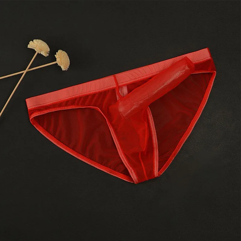 Men Underwear Mesh Transparent Elephant Nose Briefs Thin Lightweight Quick Dry Low Waist Breathable Underpants
