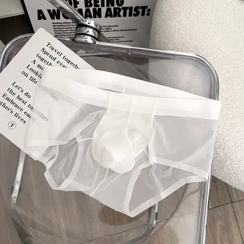 Slips transparents pour hommes Ultra-mince en soie glacée culotte à séchage rapide Sexy U poche bombée sous-vêtements pour hommes caleçons respirants Cuecas