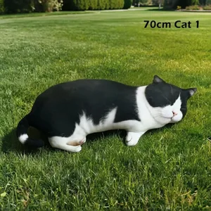 70cm Cat 1