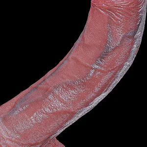 Realistic Anal New Dildo Buttplug Prostate Massager with Suction Cup Penis for Beginners Sex Toy for Women Anal Vaginal Masturba