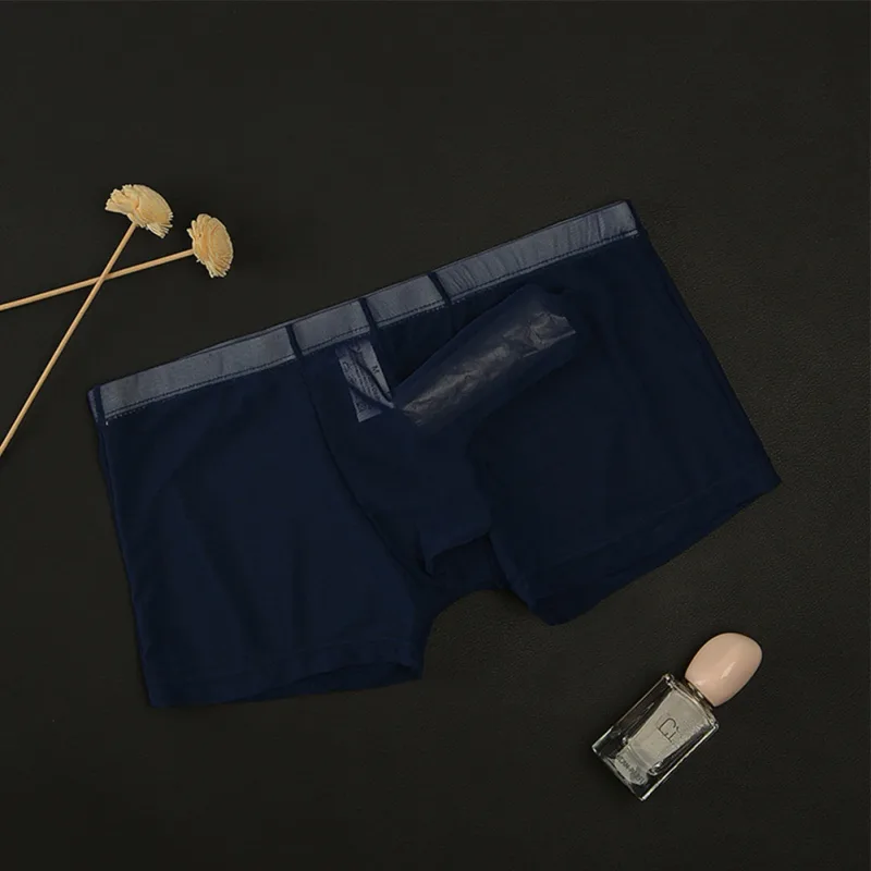 Boxer en maille transparente et légère pour homme, sous-vêtement Sexy, respirant, slip, séparation des balles
